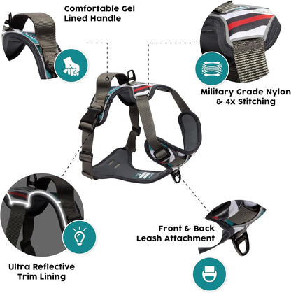 Embark Urban Dog Harness, No Pull Dog Harness with 2 Leash Clips, Dog Harness for Medium Dogs No Pull. Front & Back with Control Handle, Adjustable Black Dog Vest, Soft & Padded for Comfort